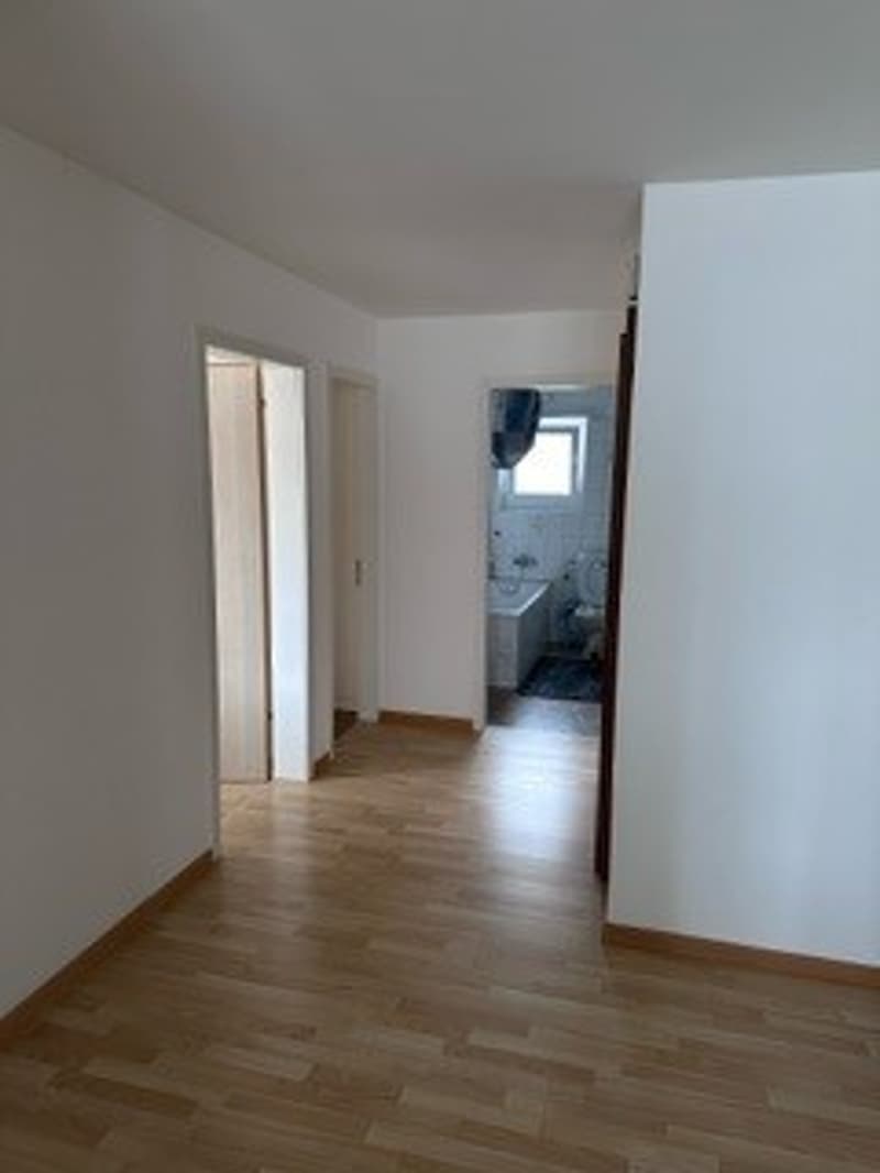 Beautiful 3.5-room apartment in Untersiggenthal (8)