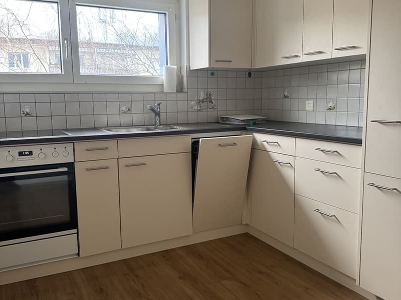 Beautiful 3.5-room apartment in Untersiggenthal (1)