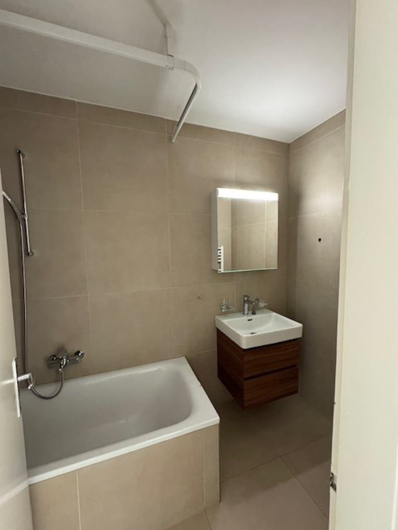 Heimelige 3-Zimmerwohnung in Reinach mit Balkon (5)