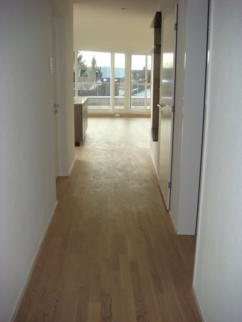 Moderne 3.5-Zimmerwohnung mit herrlicher Terrasse (4)