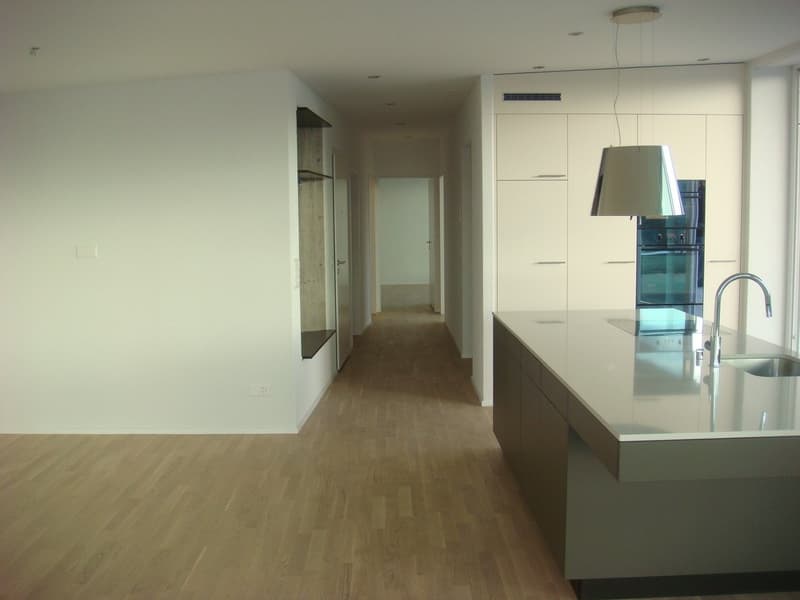 Moderne 3.5-Zimmerwohnung mit herrlicher Terrasse (3)