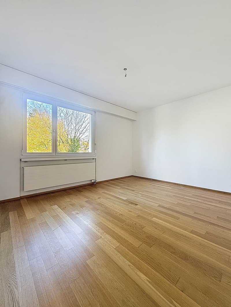 Zimmer