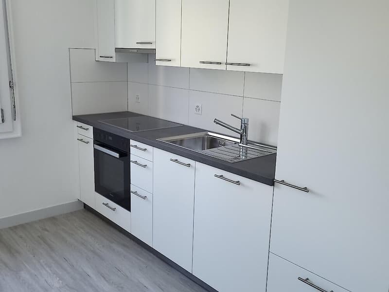 3.5 Zimmerwohnung in Düdingen (3)