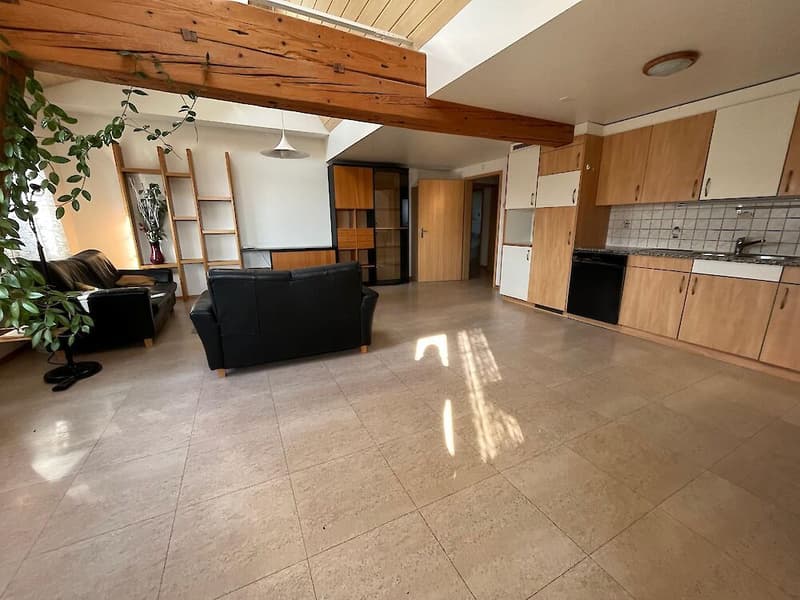Spacious 7.5-room apartment on the top floor (7)