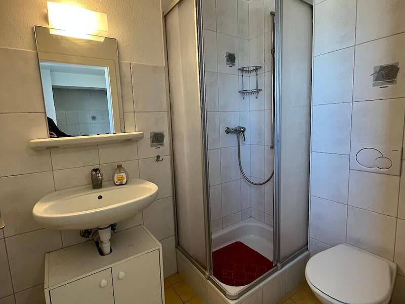 Spacious 7.5-room apartment on the top floor (13)