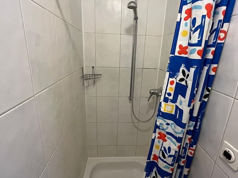 Spacious 7.5-room apartment on the top floor (12)