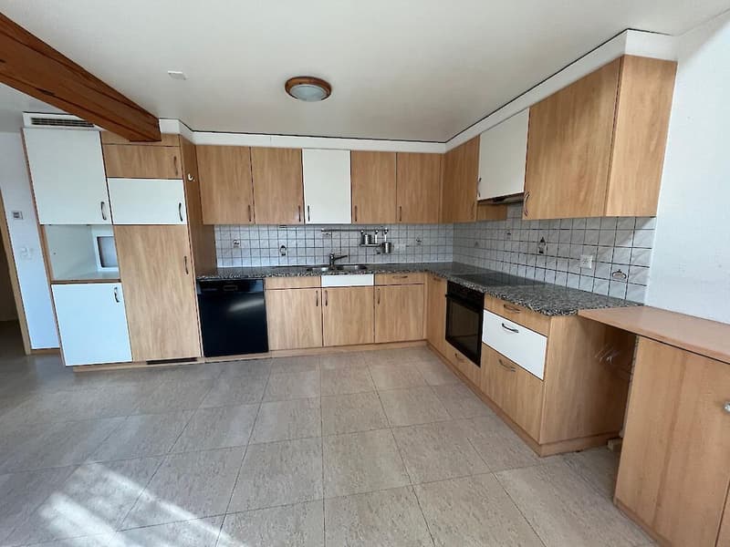 Spacious 7.5-room apartment on the top floor (6)