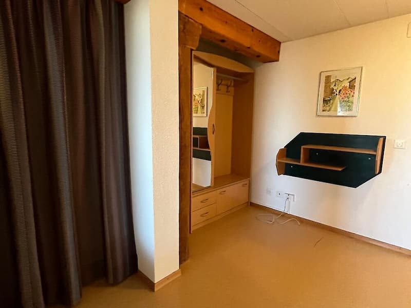 Spacious 7.5-room apartment on the top floor (4)