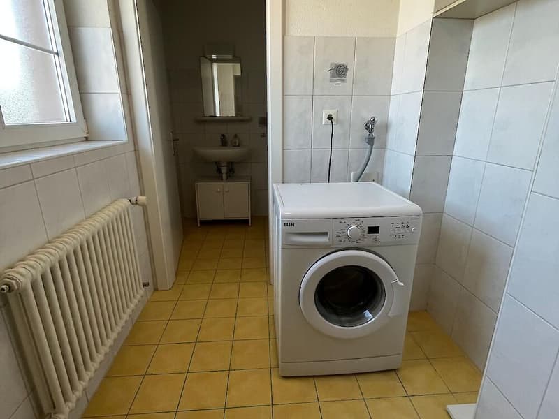 Spacious 7.5-room apartment on the top floor (11)
