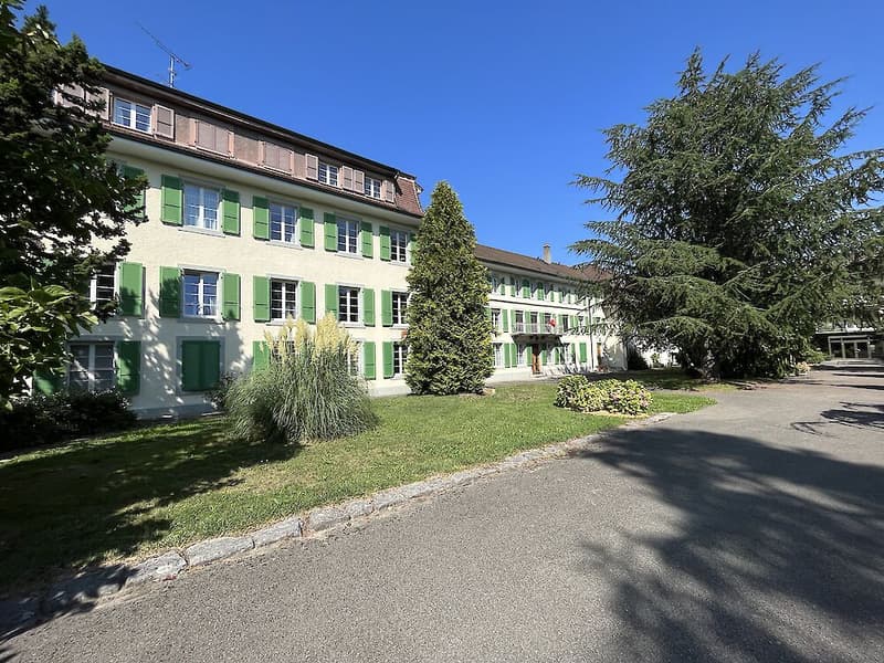 Spacious 7.5-room apartment on the top floor (2)
