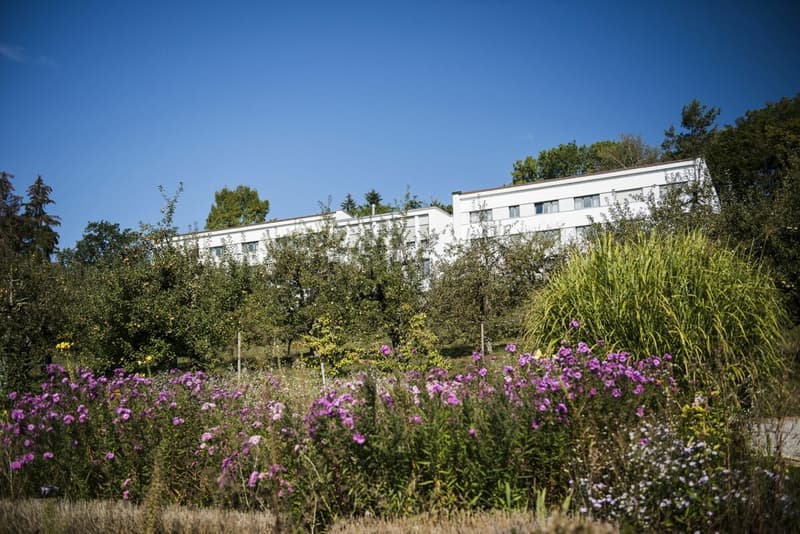Domaine Notre-Dame de la Route (4)