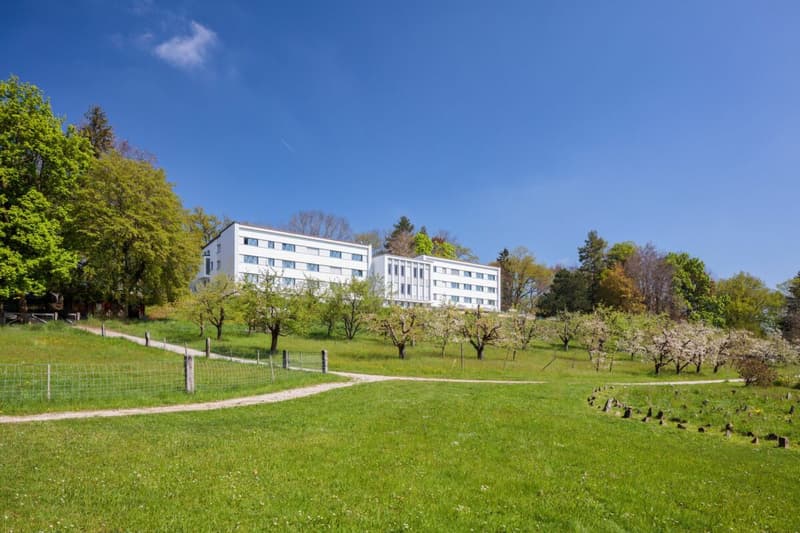 Domaine et parc