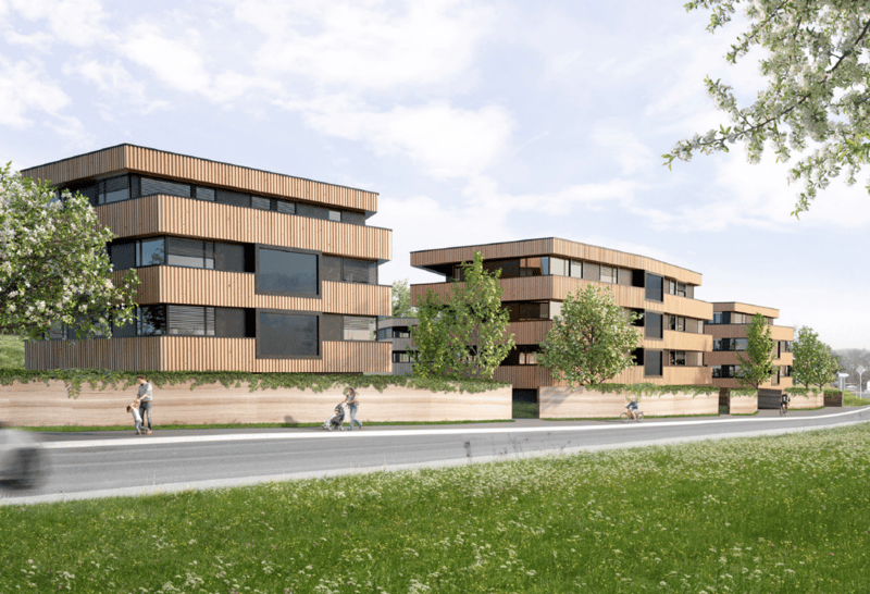 High-quality owner-occupied apartments in the Sense district (2)