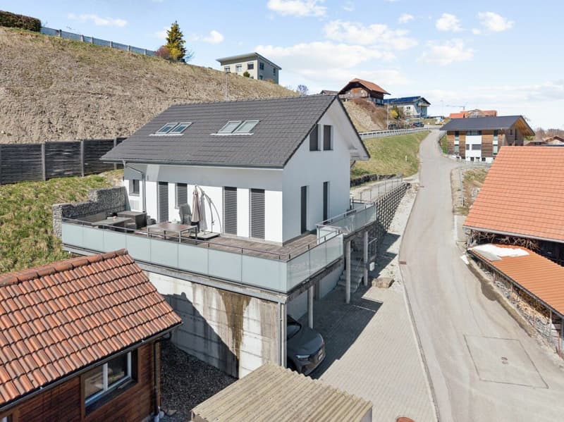 Dream Home with Original Vaulted Cellar in Plaffeien (2)