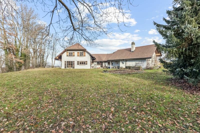 Exclusive Country House in the Sense District (1)