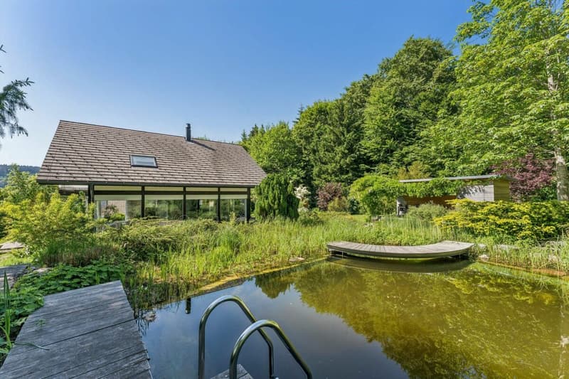 Exceptional residential oasis in Brünisried (3)