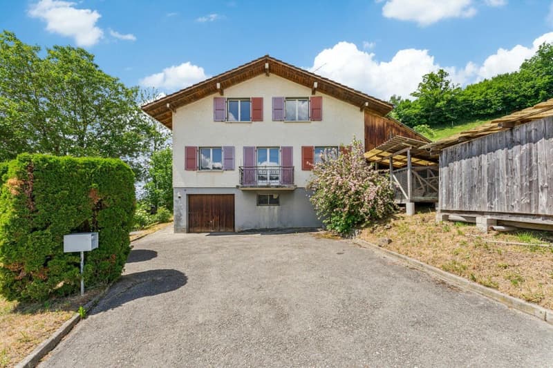 Property with great potential in St. Silvester (2)