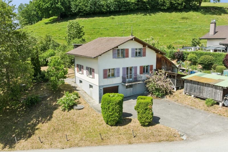 Property with great potential in St. Silvester (1)
