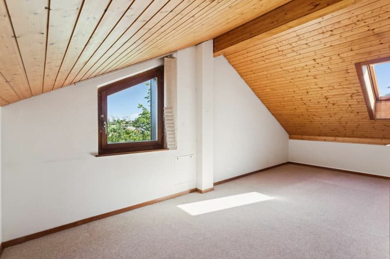 Doppeleinfamilienhaus in Mézières (6)