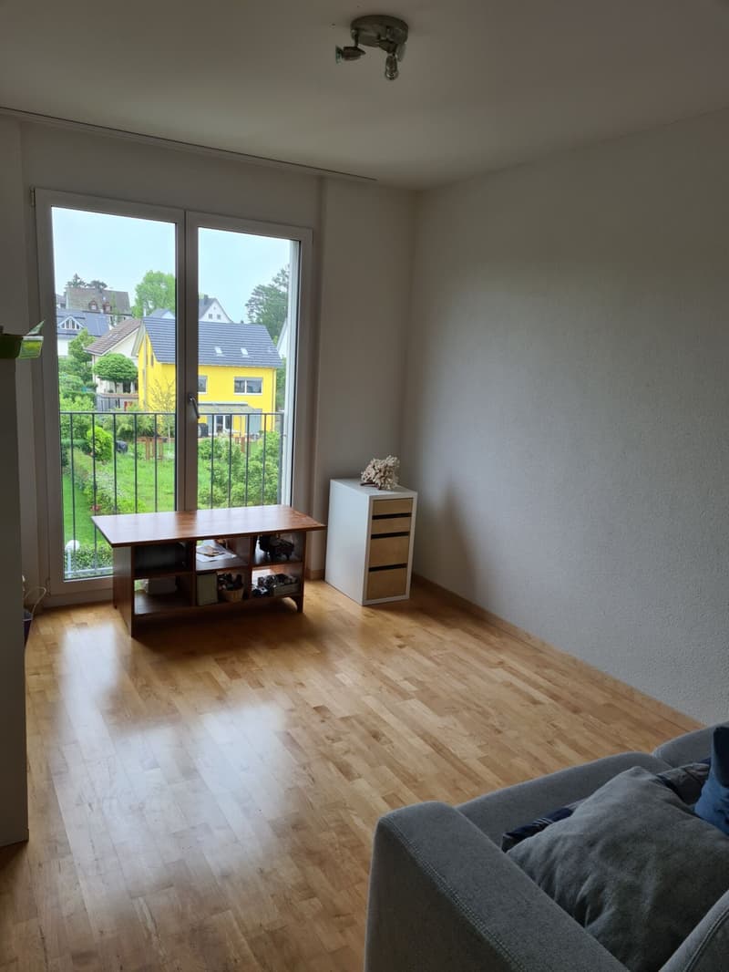Schöne 5.5 Zimmer Wohnung auf dem Geissberg (13)