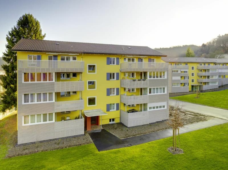 gemütlich gelegene 3 Zimmerwohnung (1)