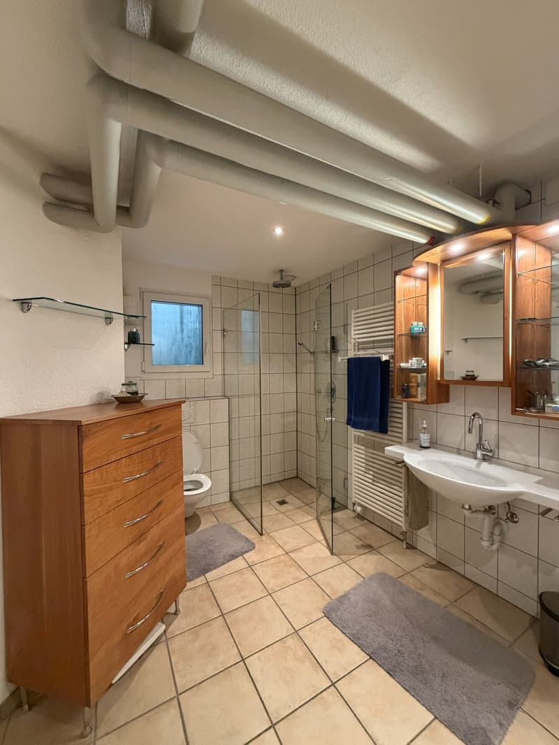 Affascinante casa unifamiliare di 5,5 locali con camino e garage (13)