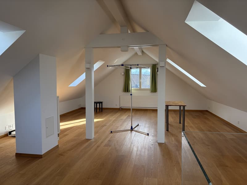 Affascinante casa unifamiliare di 5,5 locali con camino e garage (11)