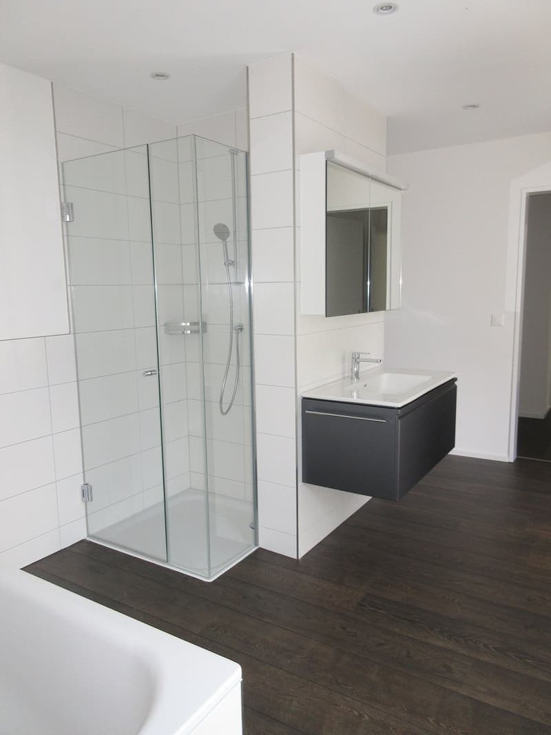 Moderne 2.5-Zimmer-Wohnung in Freienbach (7)