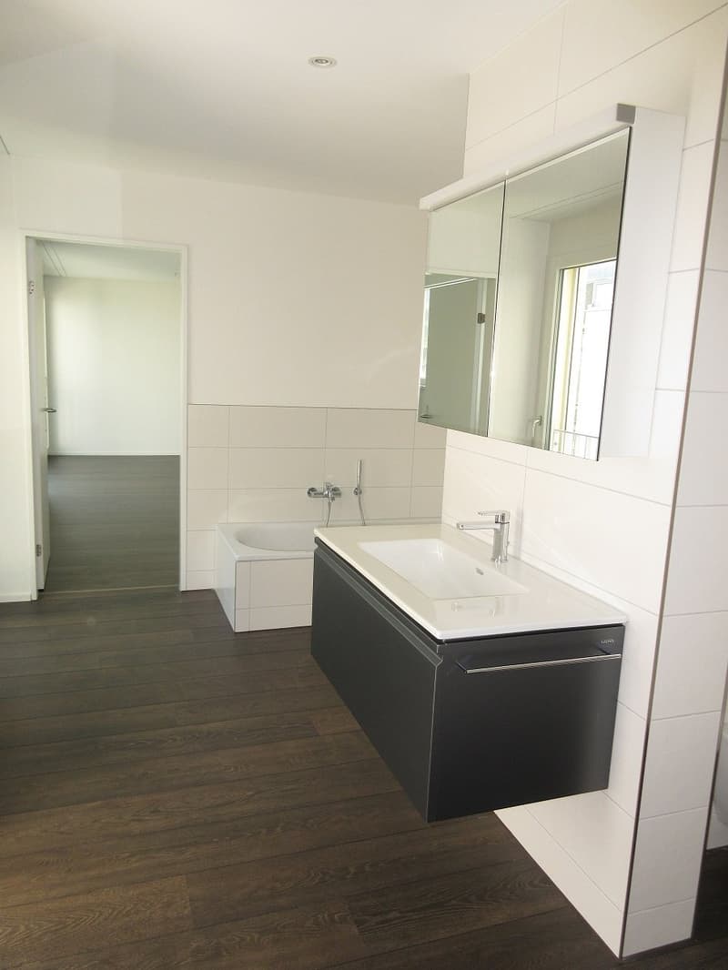 Moderne 2.5-Zimmer-Wohnung in Freienbach (6)
