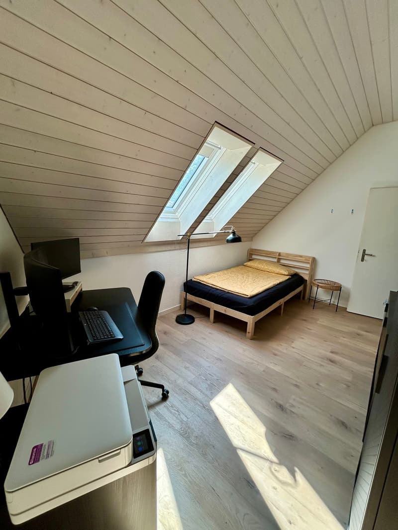 Charmante Dachwohnung in Hinwil (5)