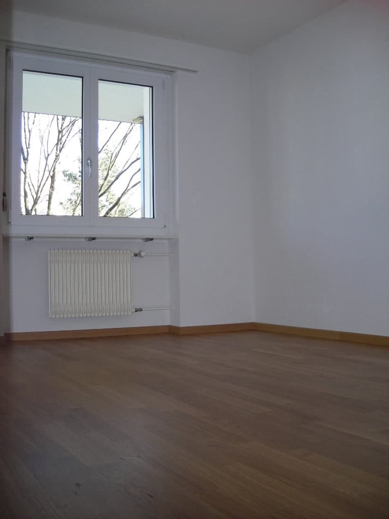 Appartement pratique de 2 pièces avec balcon à Hinwil, bien situé (4)