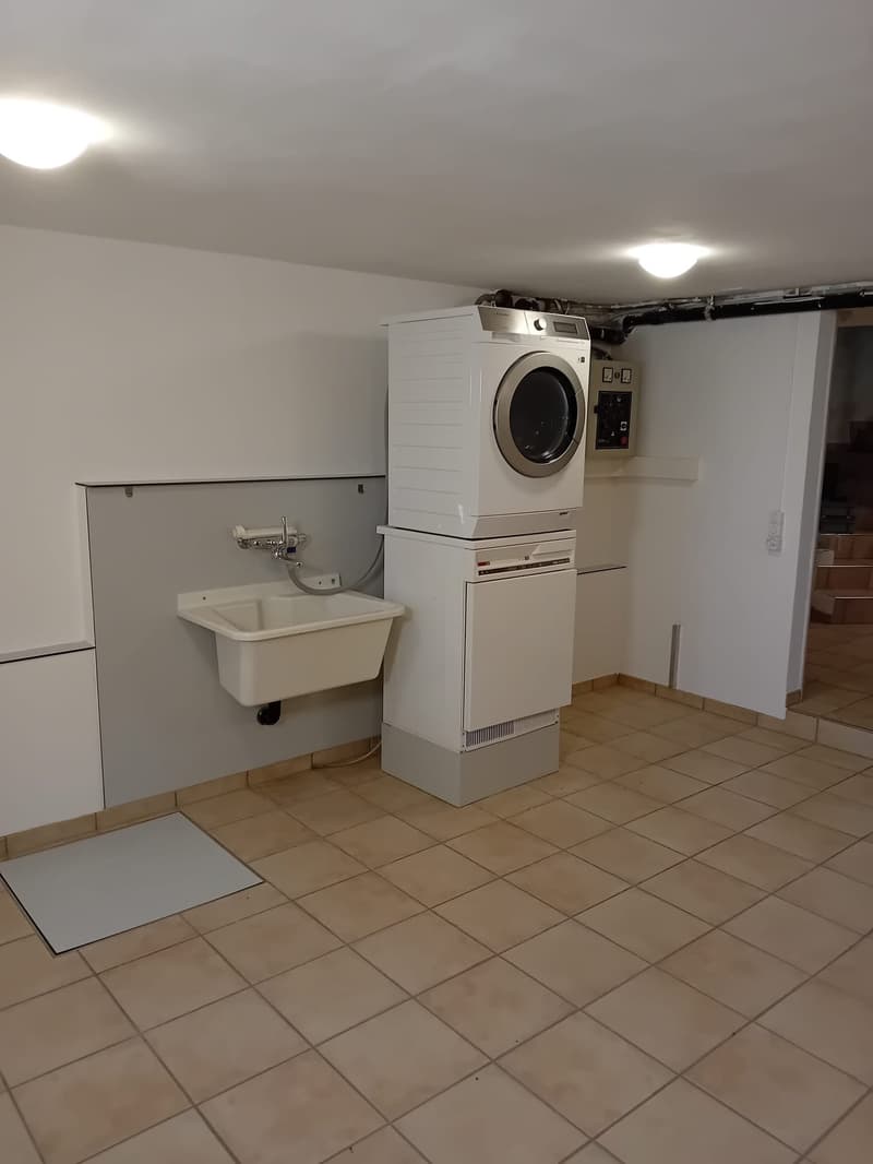 Charmante maison individuelle 5.5 pièces avec cheminée et garage (13)