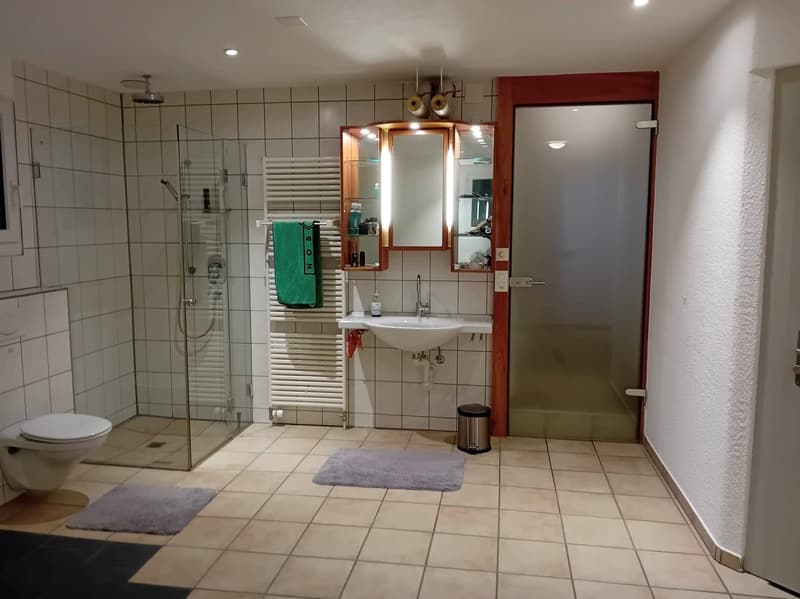 Charmantes 5.5-Zimmer-Einfamilienhaus mit Cheminée und Garage (12)
