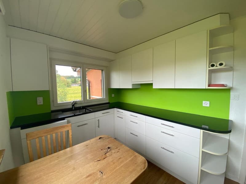 Zweifamilienhaus mit grosszügigem Umschwung in Pfäffikon ZH (19)