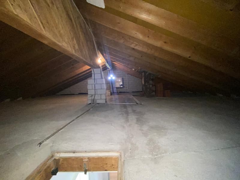 Zweifamilienhaus mit grosszügigem Umschwung in Pfäffikon ZH (30)