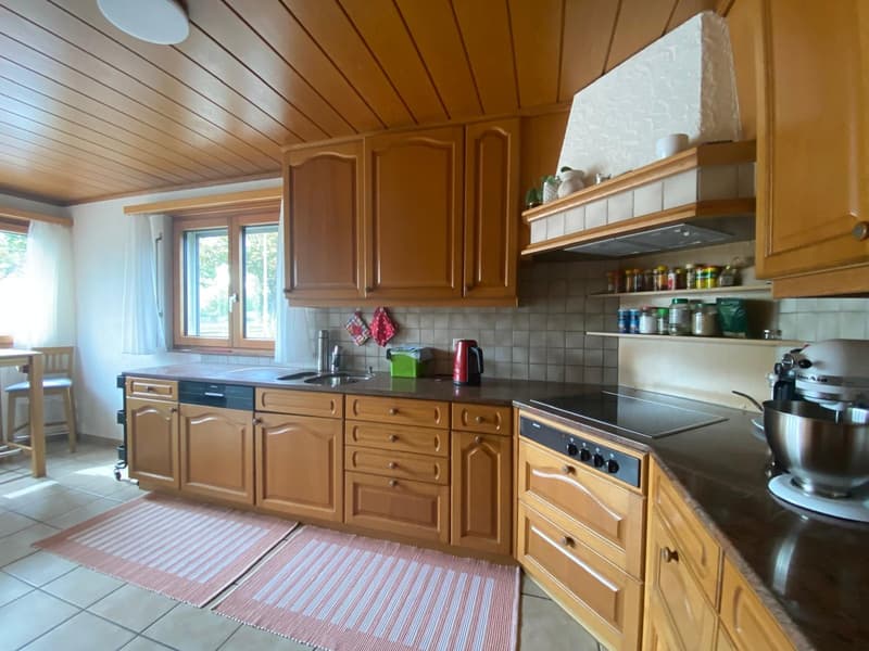 Zweifamilienhaus mit grosszügigem Umschwung in Pfäffikon ZH (13)