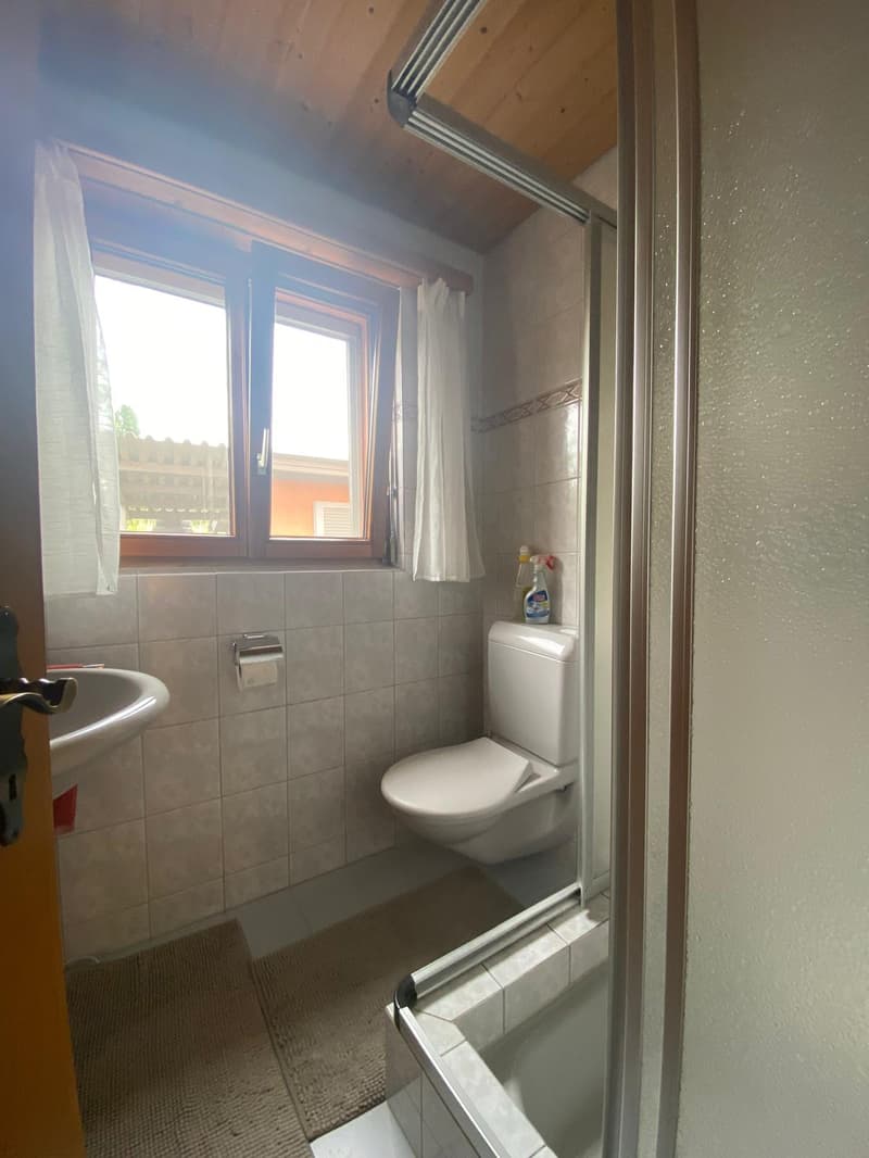 Zweifamilienhaus mit grosszügigem Umschwung in Pfäffikon ZH (28)