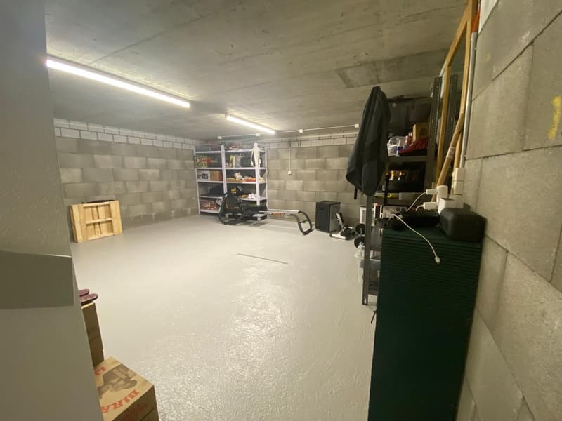 Zweifamilienhaus mit grosszügigem Umschwung in Pfäffikon ZH (34)