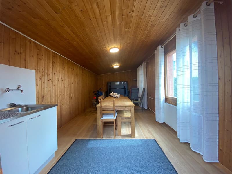Zweifamilienhaus mit grosszügigem Umschwung in Pfäffikon ZH (31)