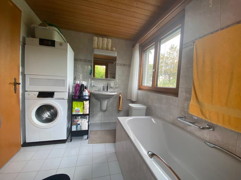 Zweifamilienhaus mit grosszügigem Umschwung in Pfäffikon ZH (17)