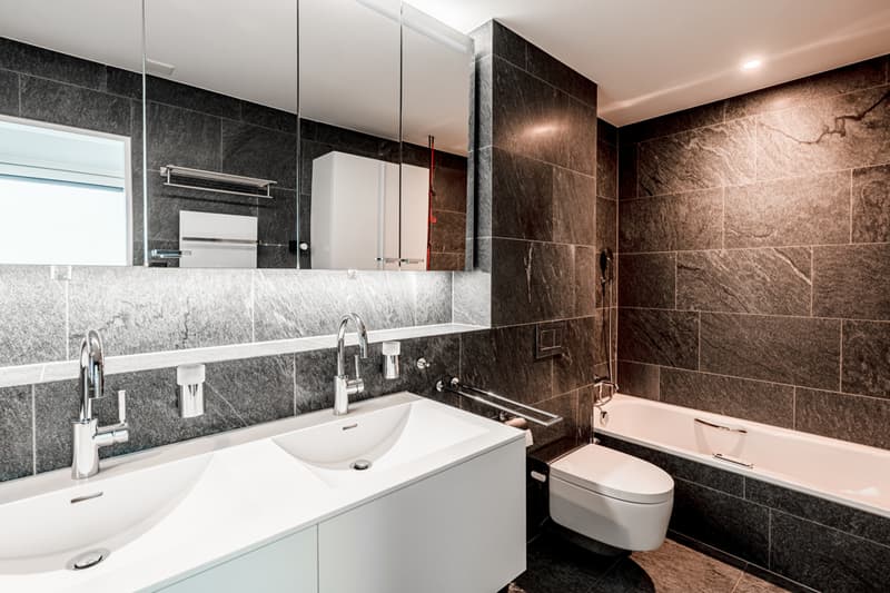 Exclusive attic apartment with unobstructable lake view (4)