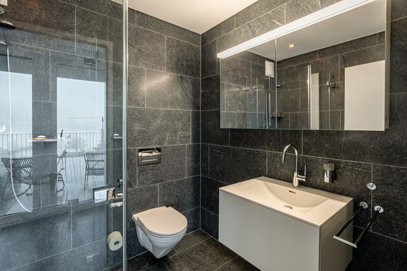 Exclusive attic apartment with unobstructable lake view (13)