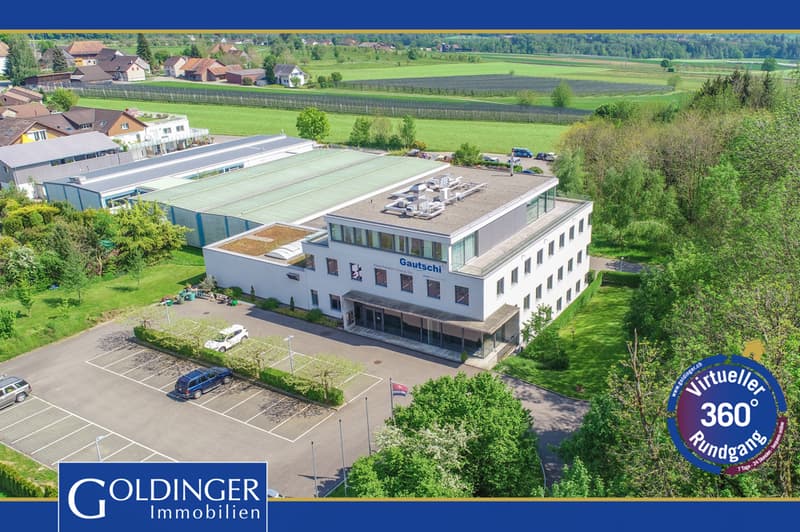 Büro, Lager, Produktion, Wohnen - alles unter einem Dach (1)