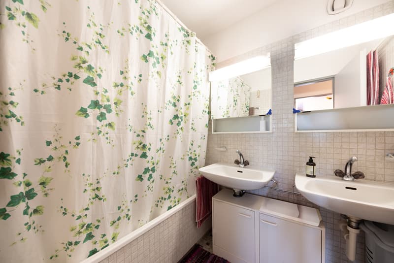 Your new home: Charming, family-friendly, with lake view (6)