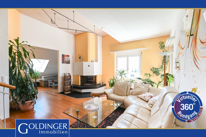 Appartement de 3 à 5 pièces en mansarde avec terrasse privée sur le toit (1)
