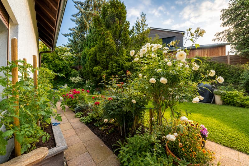 Familienglück mit Gartenparadies (9)
