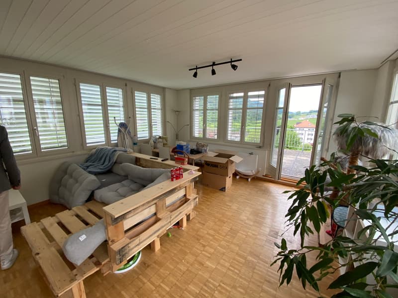 large room, wooden floor, large windows, balcony, couch, storage boxes, plant