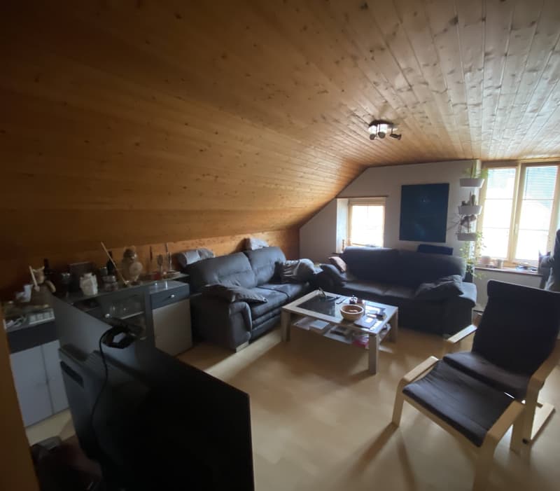 living room with wooden ceiling, two sofas, coffee table, chair, TV, cabinets, windows