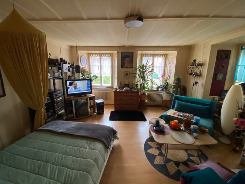 A room with a bed, a television, a coffee table, a couch, a cabinet, a radiator, a speaker, a shelf, a picture frame, a potted plant, a lamp, and a rug.