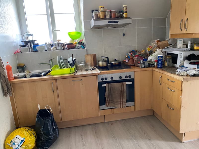 Rental house with 5 apartments, garden and garages (6)